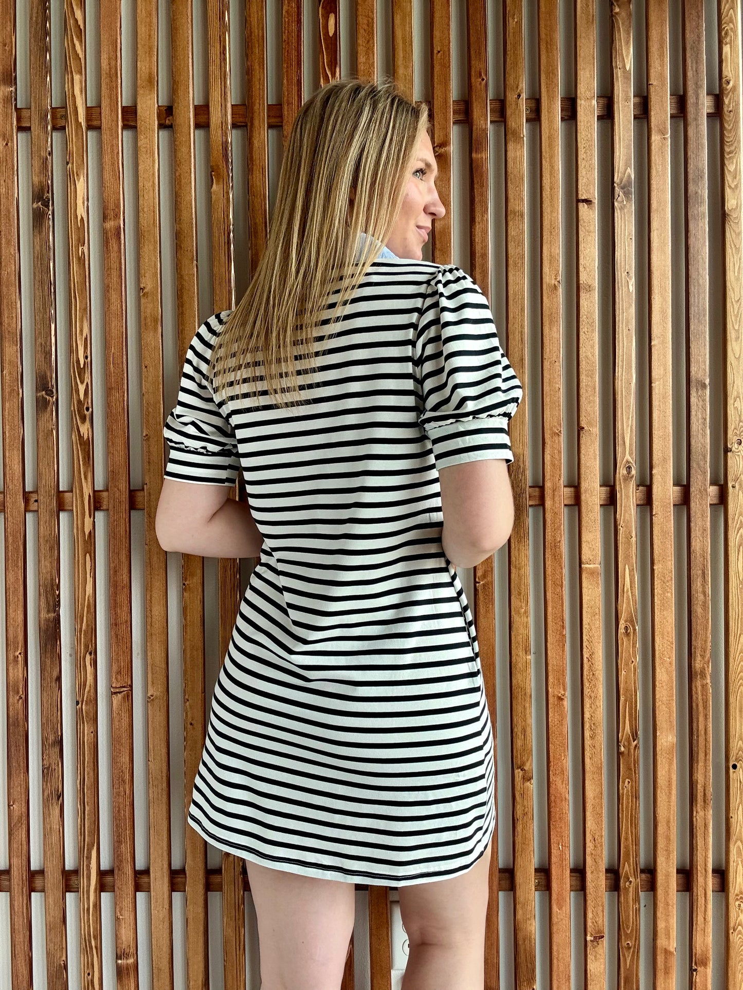 Stripe Contrast Collared Mini Dress