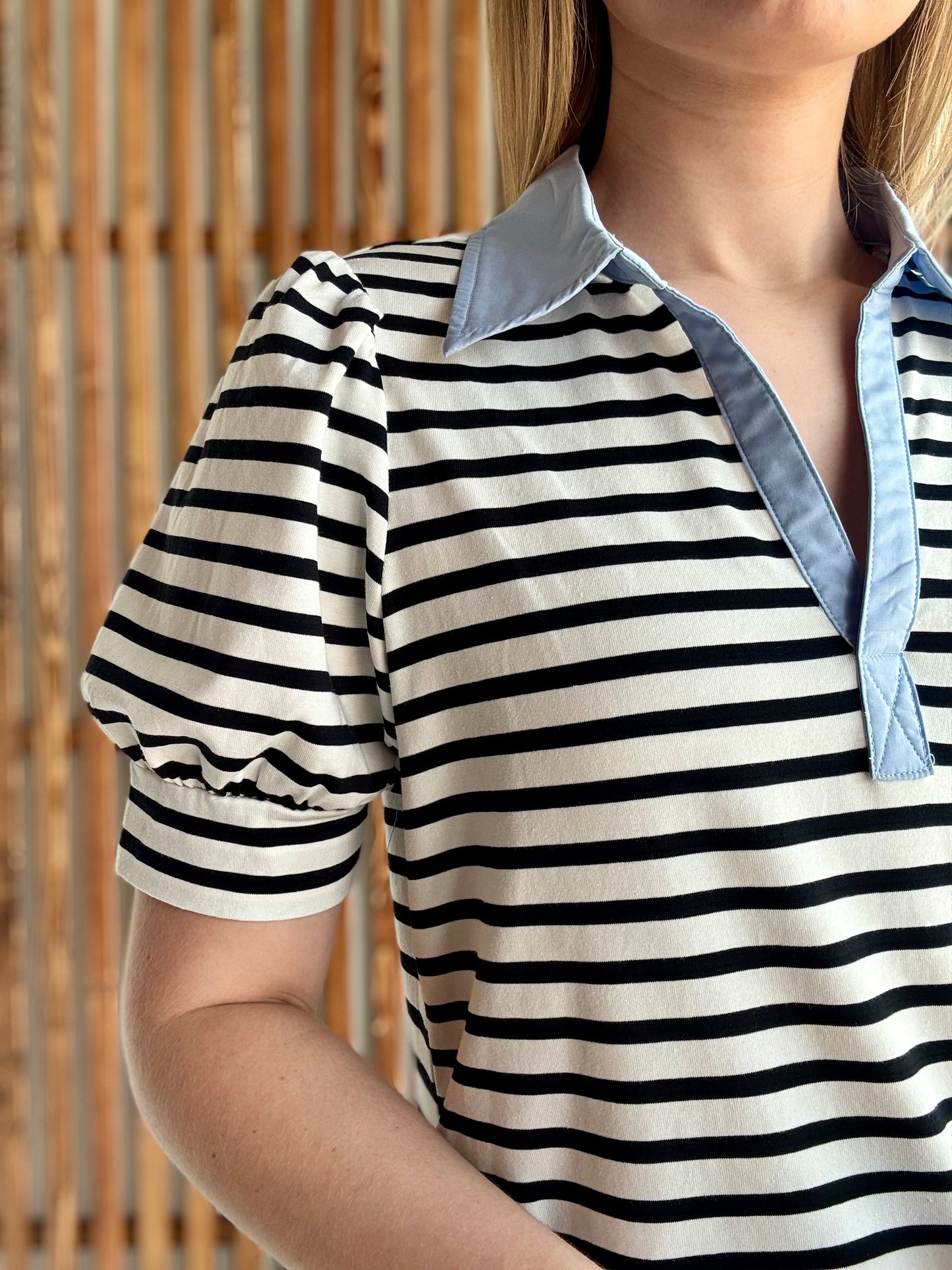 Stripe Contrast Collared Mini Dress