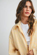 Stripped Collard Zip Front Drawstring Jacket