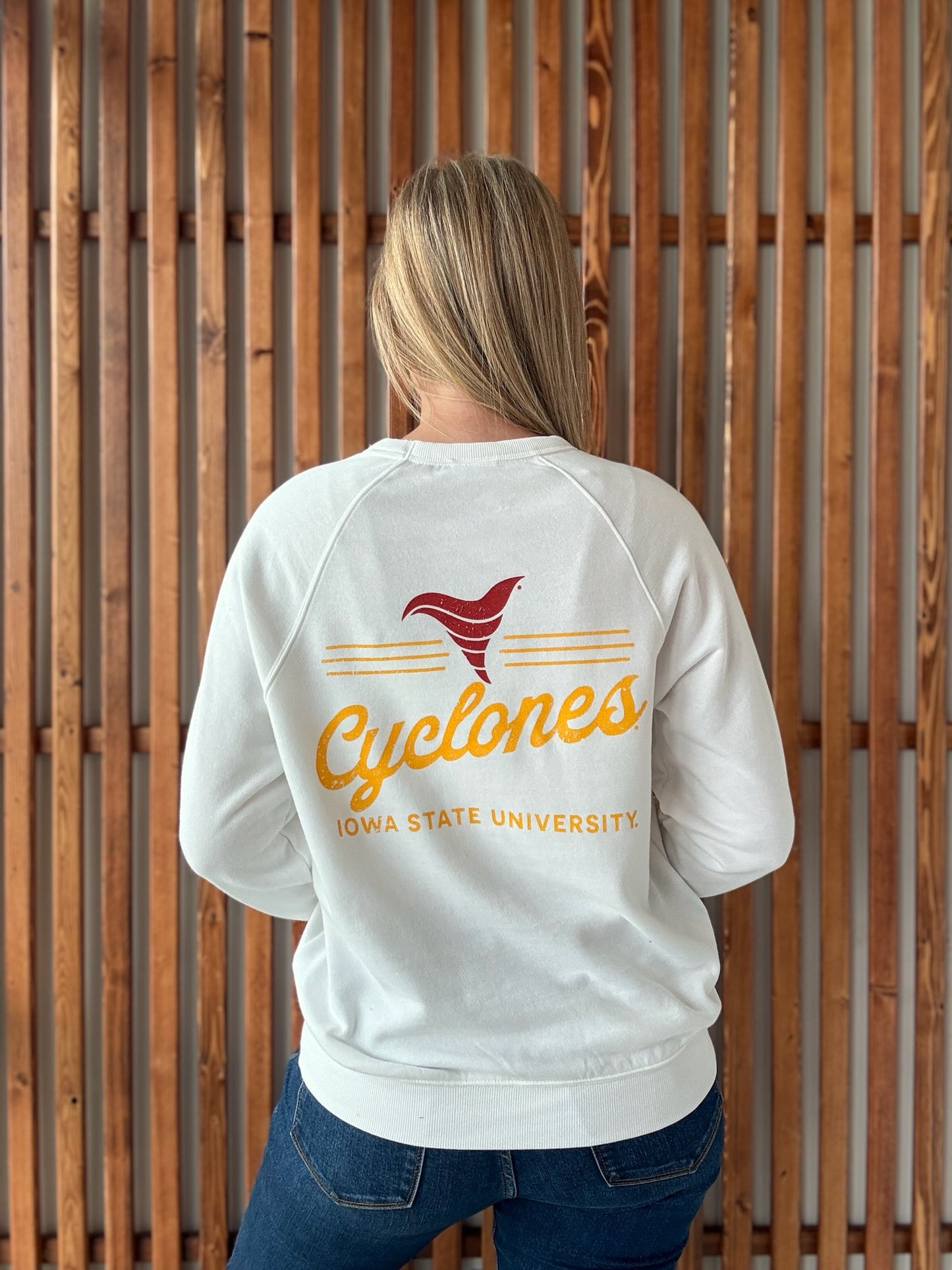 Heritage Cyclone Crewneck: White