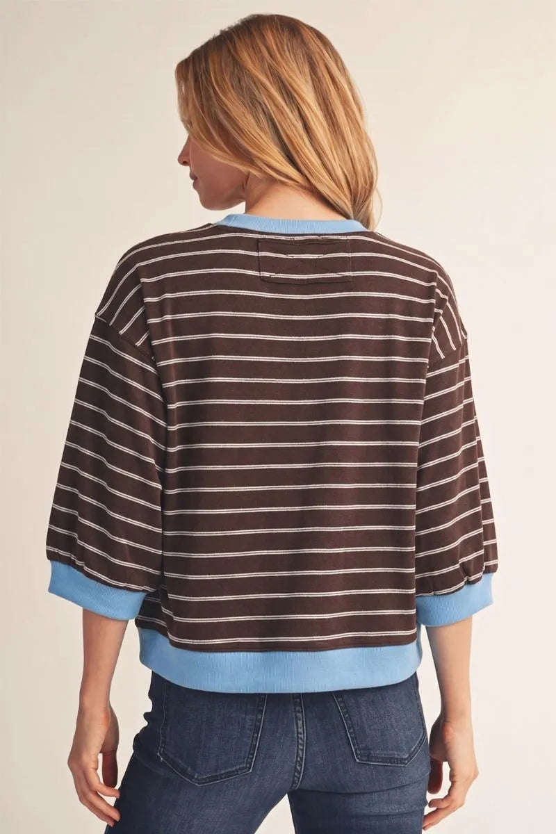 Brown Stripe with Blue Trim Accent