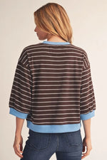 Brown Stripe with Blue Trim Accent