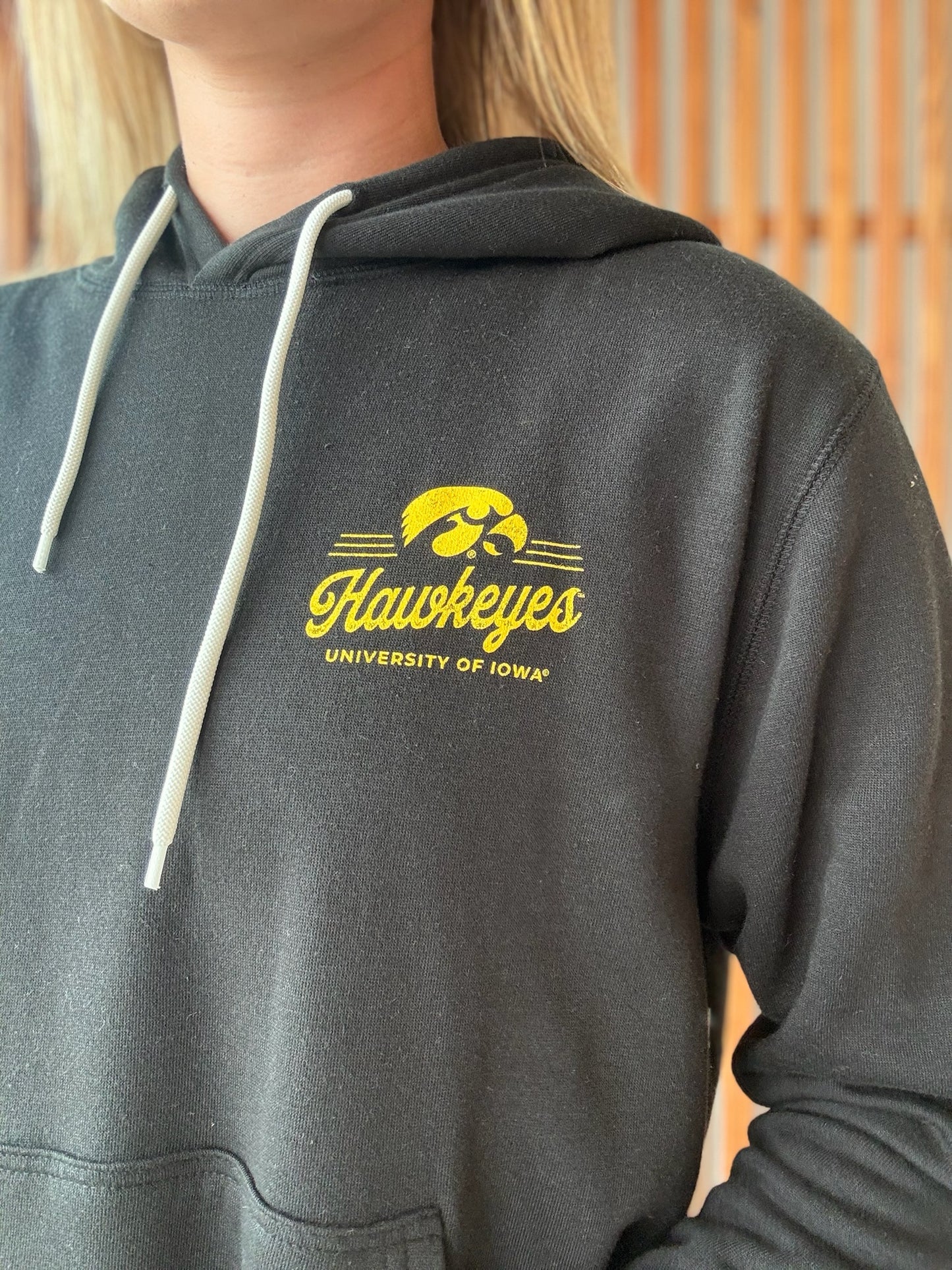 Hawkeye Hoodie
