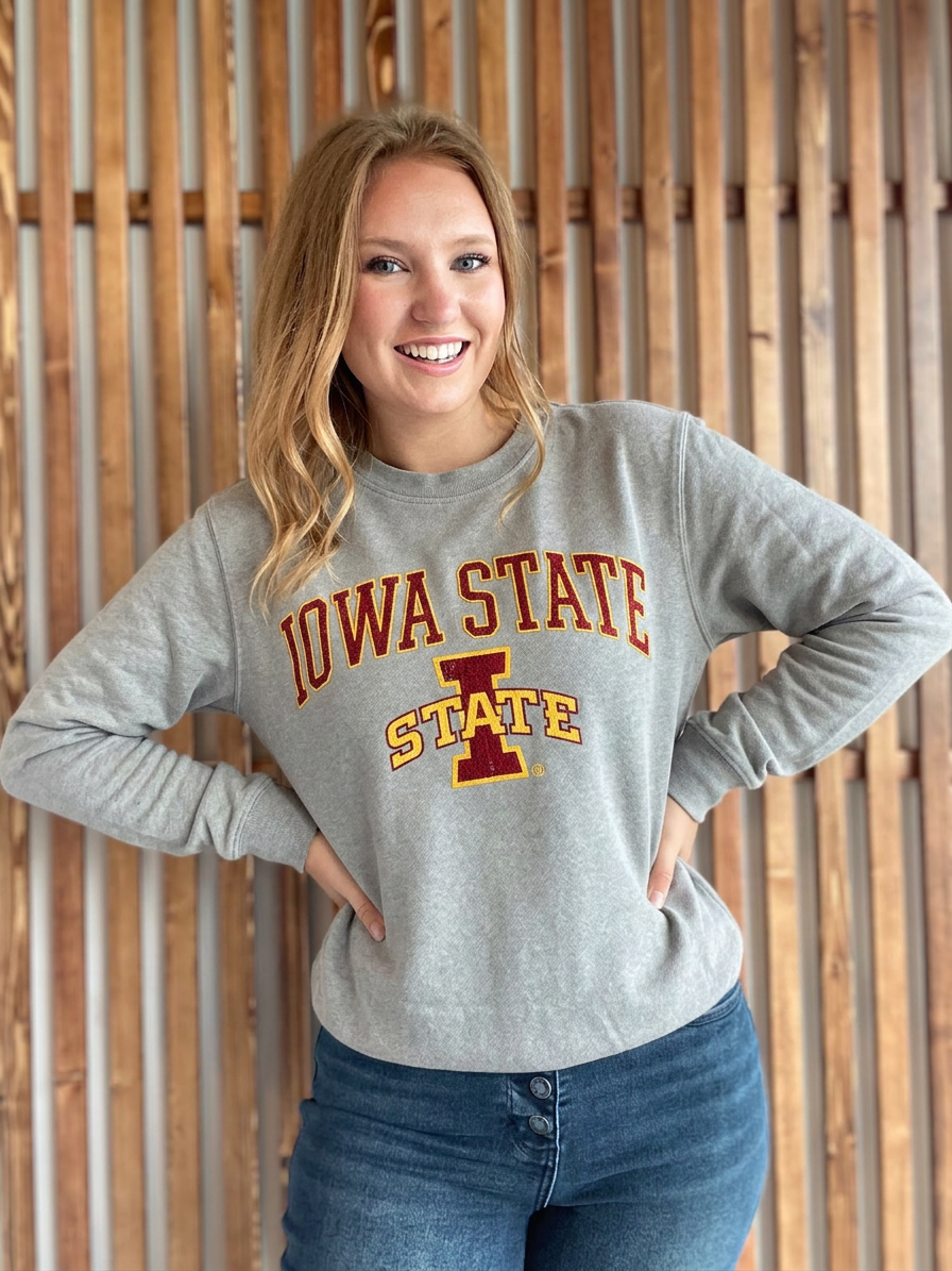 IA State Distressed: Cool Silver