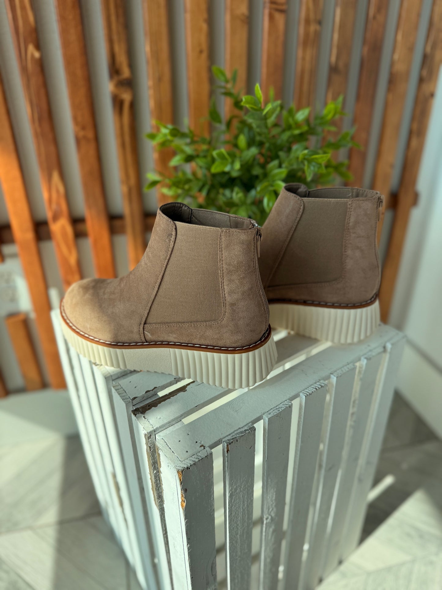 Pierre Dumas Sweet Ankle Boot - Taupe