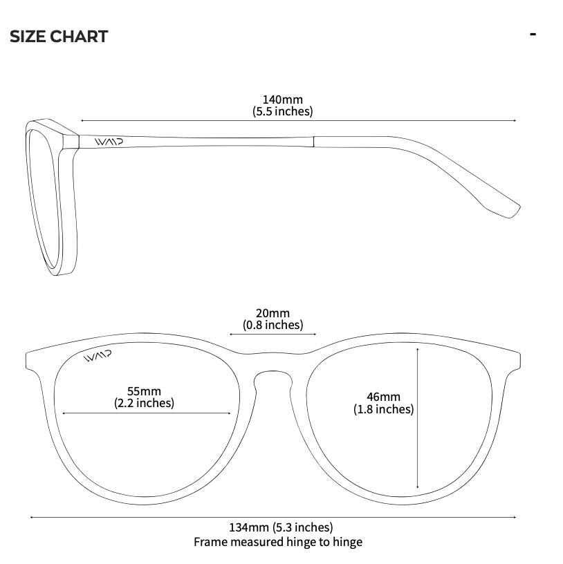 Drew Sunglasses: Black Frame/Black Lens