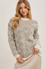 Crew Neck Geo Textured Knit Sweater